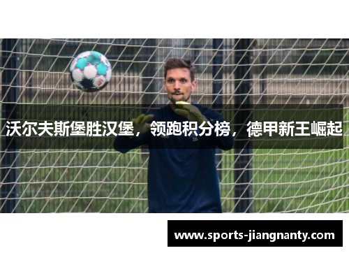 沃尔夫斯堡胜汉堡，领跑积分榜，德甲新王崛起